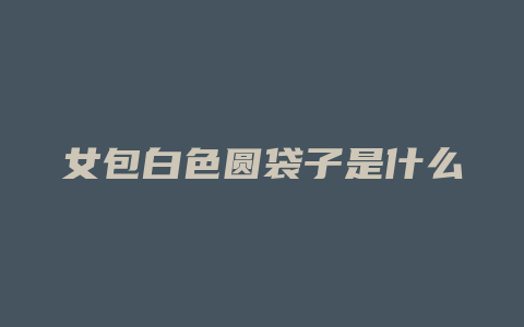 女包白色圆袋子是什么