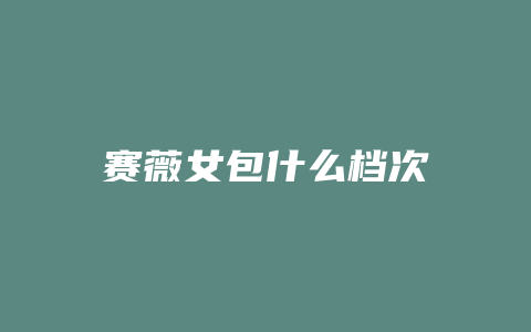 赛薇女包什么档次