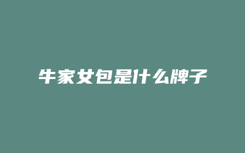 牛家女包是什么牌子