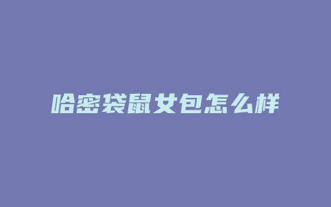 哈密袋鼠女包怎么样