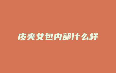 皮夹女包内部什么样