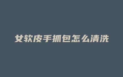 女软皮手抓包怎么清洗