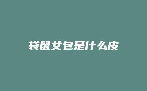 袋鼠女包是什么皮