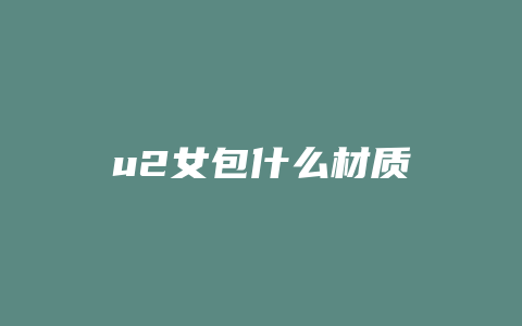 u2女包什么材质