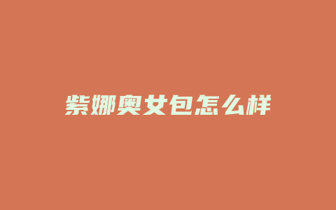 紫娜奥女包怎么样