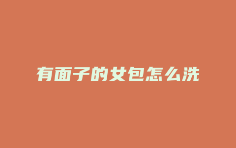 有面子的女包怎么洗