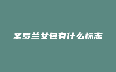 圣罗兰女包有什么标志