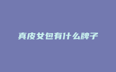 真皮女包有什么牌子