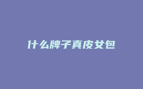 什么牌子真皮女包