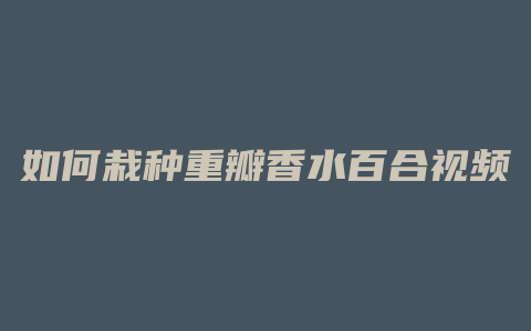 如何栽种重瓣香水百合视频