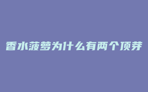 香水菠萝为什么有两个顶芽