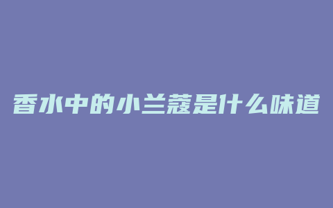 香水中的小兰蔻是什么味道