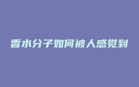 香水分子如何被人感觉到