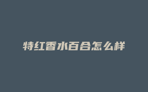 特红香水百合怎么样