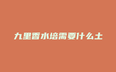 九里香水培需要什么土