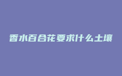 香水百合花要求什么土壤