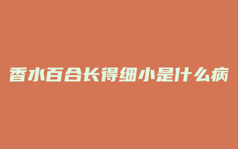 香水百合长得细小是什么病
