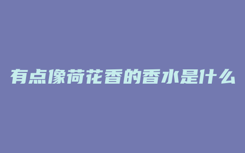 有点像荷花香的香水是什么