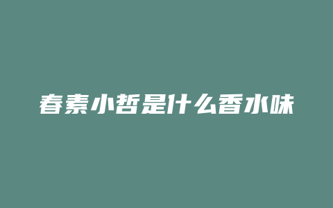 春素小哲是什么香水味