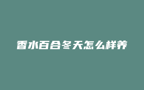 香水百合冬天怎么样养