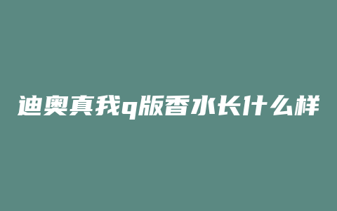 迪奥真我q版香水长什么样