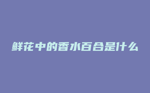 鲜花中的香水百合是什么