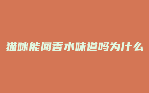猫咪能闻香水味道吗为什么